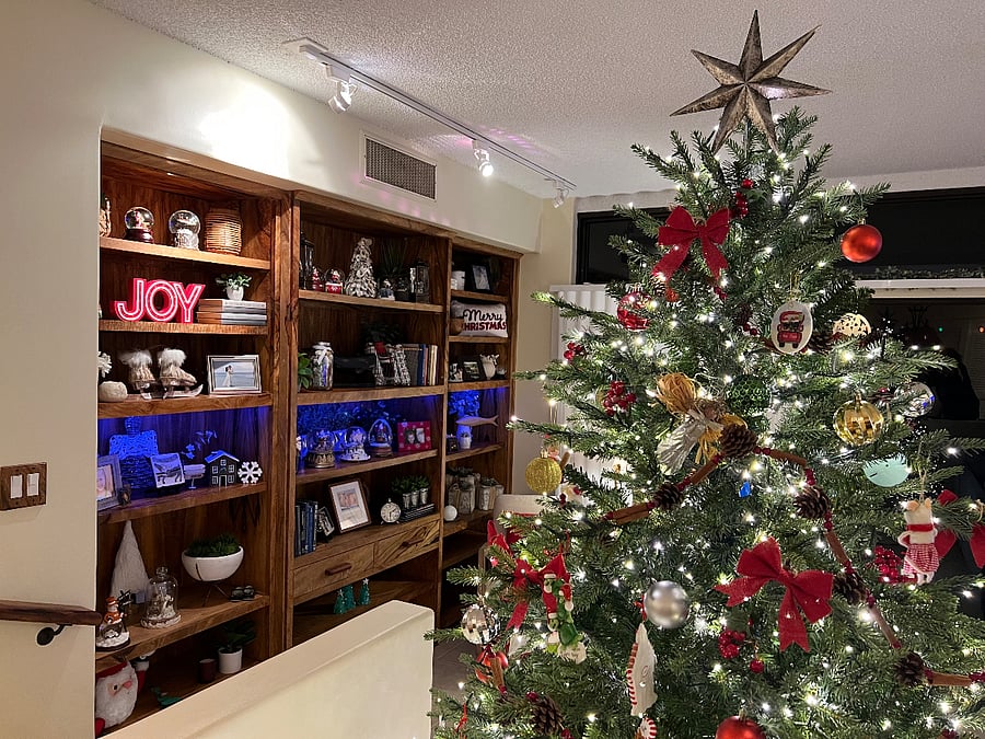 Christmas in Maui!