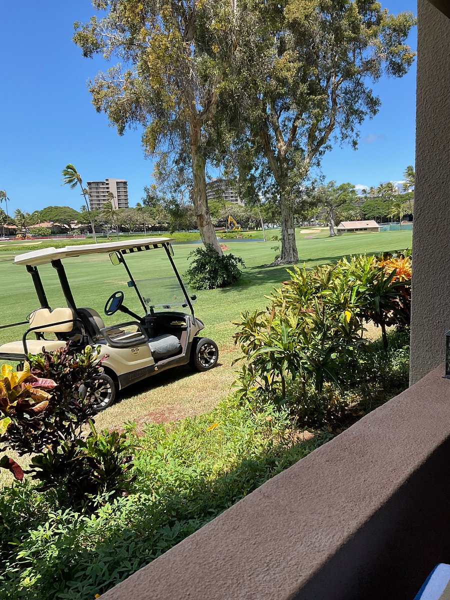 My golf cart is available for a fee of $200 a month.  Lower cost available for longer stays.  I also have seatbelts on the cart, front and back seats, to make it safer.
