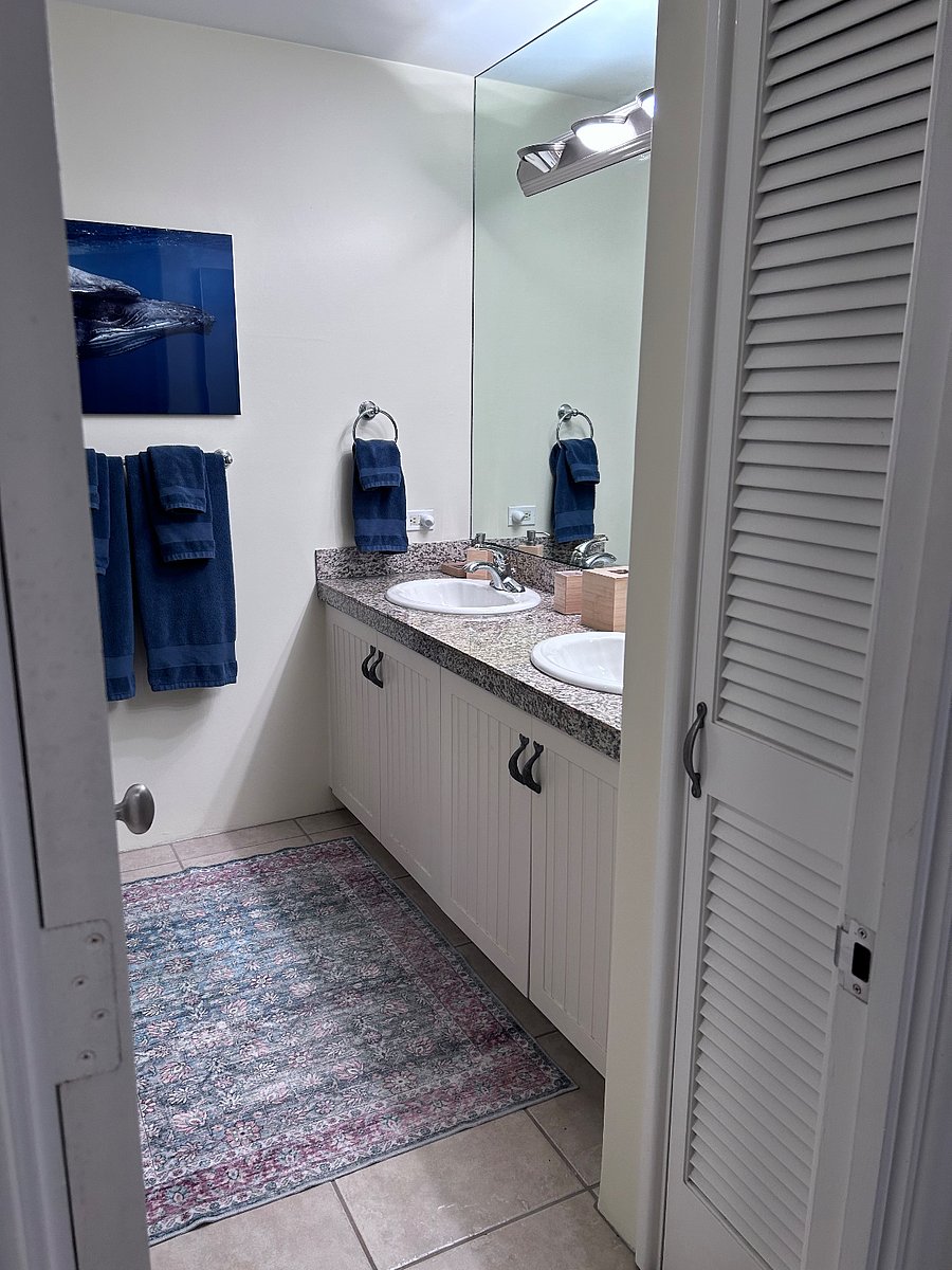 Guest bathroom