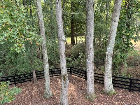VIEW from apartment windows