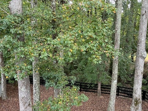 VIEW from apartment windows