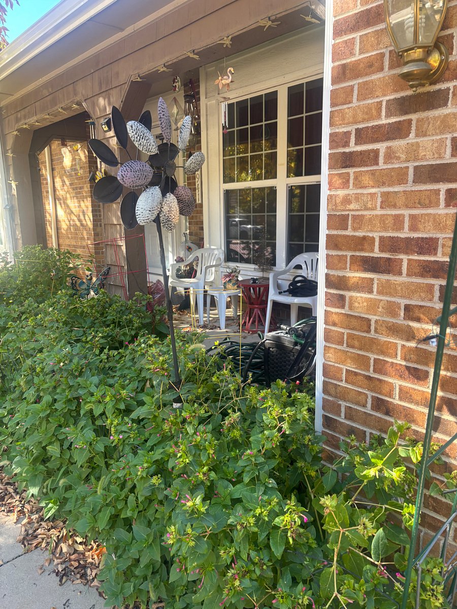 Furnished Finder property 748742_1 photo 14