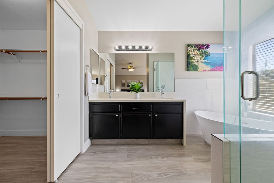 Master Bathroom Vanity