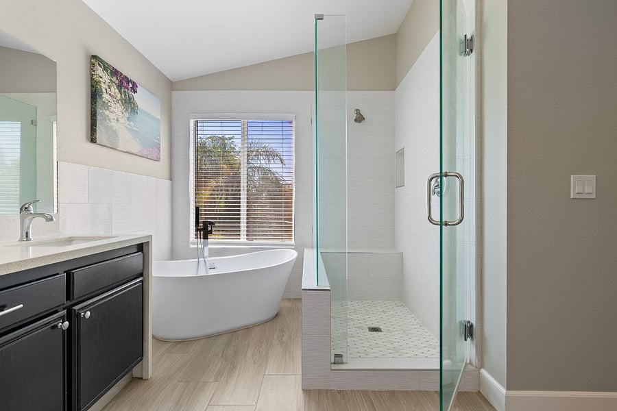 Master Bathroom Shower & Bathtub
