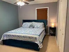 Furnished Finder property 748784_1 photo 16