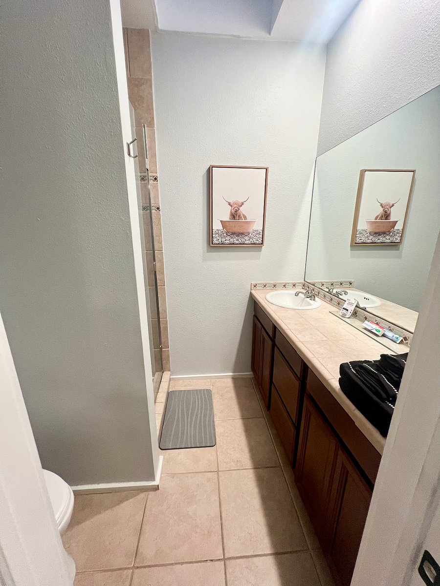 Furnished Finder property 748811_1 photo 11