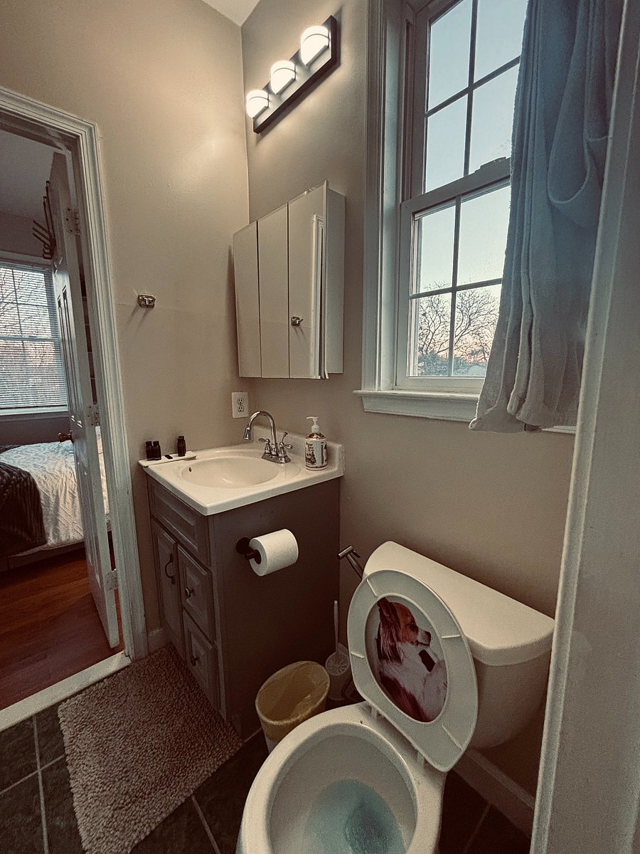 Furnished Finder property 749008_1 photo 22