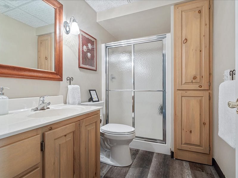 lower level full bathroom, walk in shower