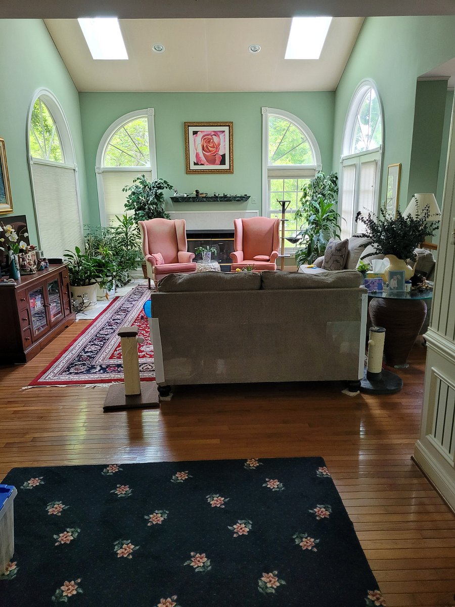 Furnished Finder property 749199_1 photo 3