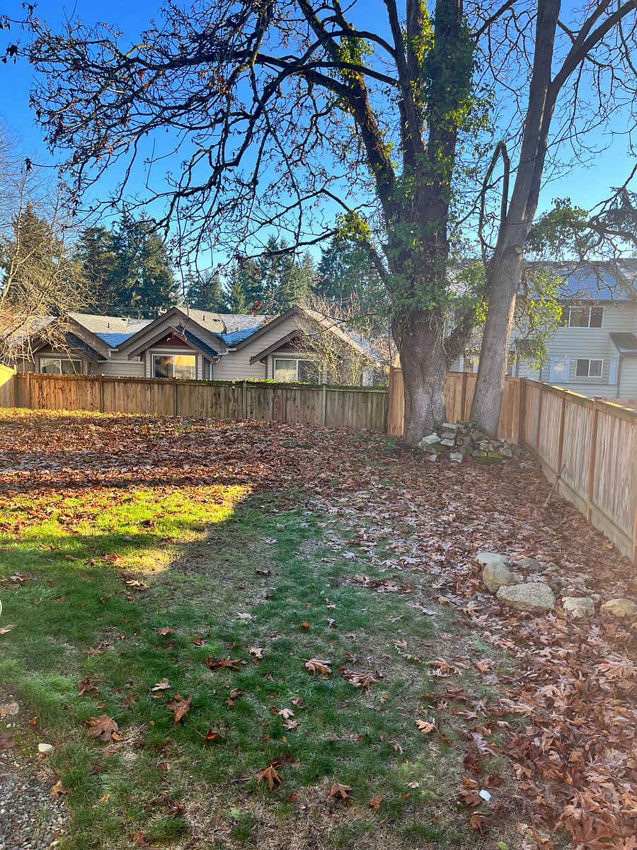 Huge fully fenced backyard great for pets.