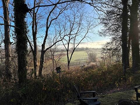 Winter Morning from the Deck