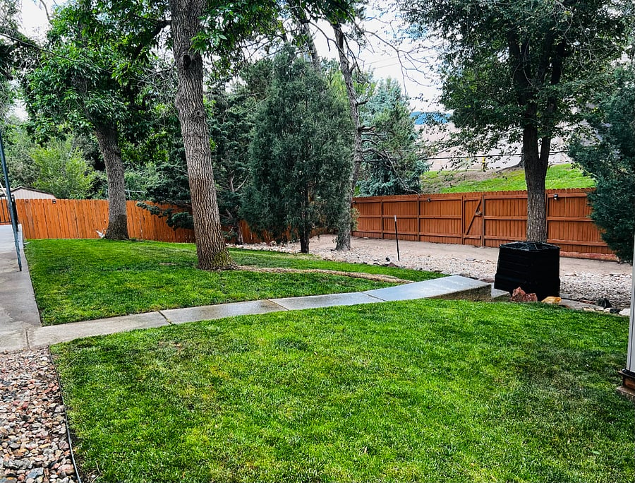 Fully fenced backyard offering plenty of open space and added privacy for guests and pets.
