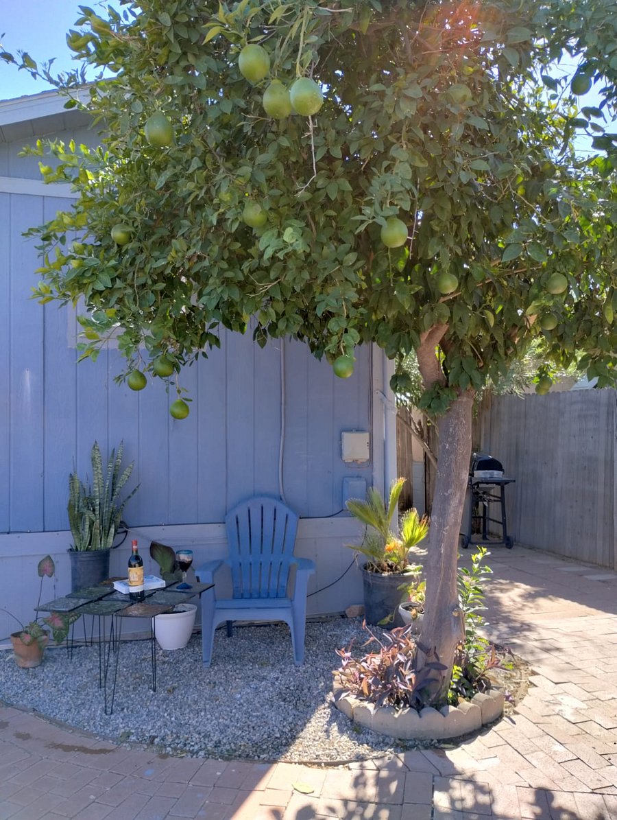 Furnished Finder property 749541_1 photo 12
