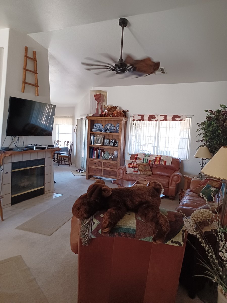 Furnished Finder property 749729_1 photo 8