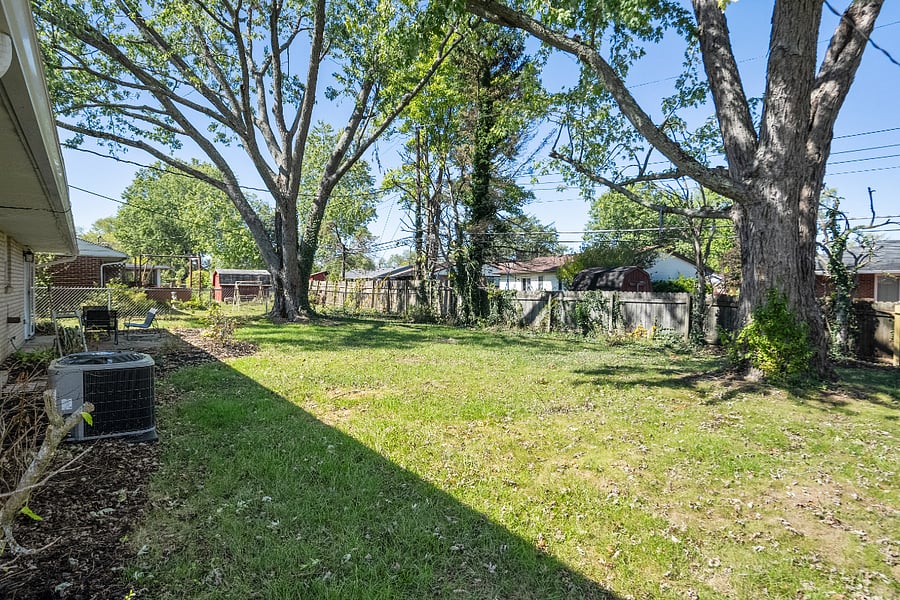 Backyard