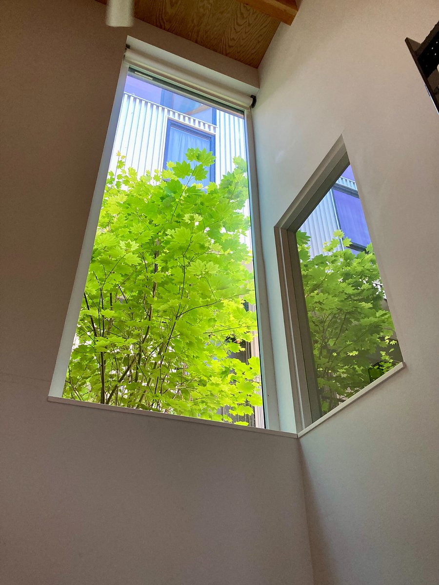High window in double height space provides natural light to back of studio and bathroom. Motorized blind provides privacy.