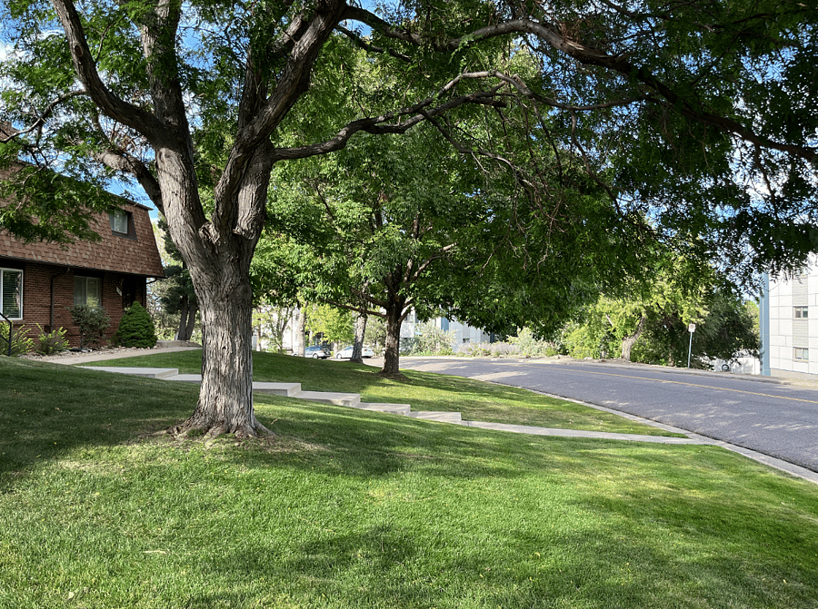 Furnished Finder property 749808_1 photo 25