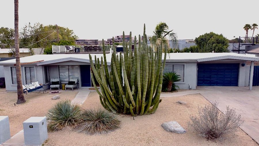Welcoming Organ Pipe Cactus with porch swing and fire pit