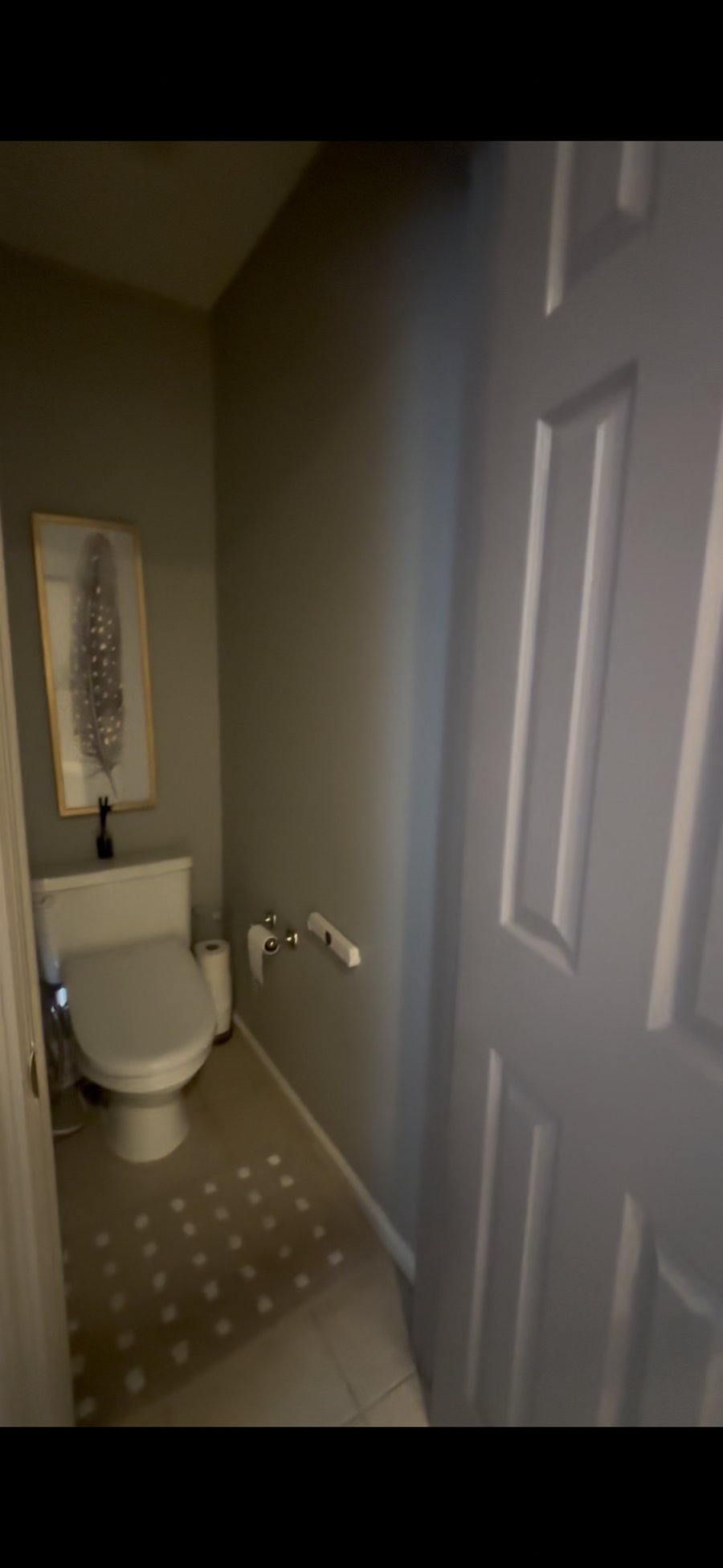 Downstairs shared half bath.