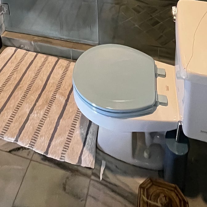 Jack & Jill Bath toilet