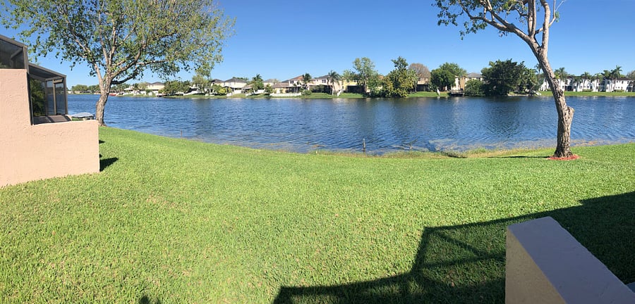 Back yard lake