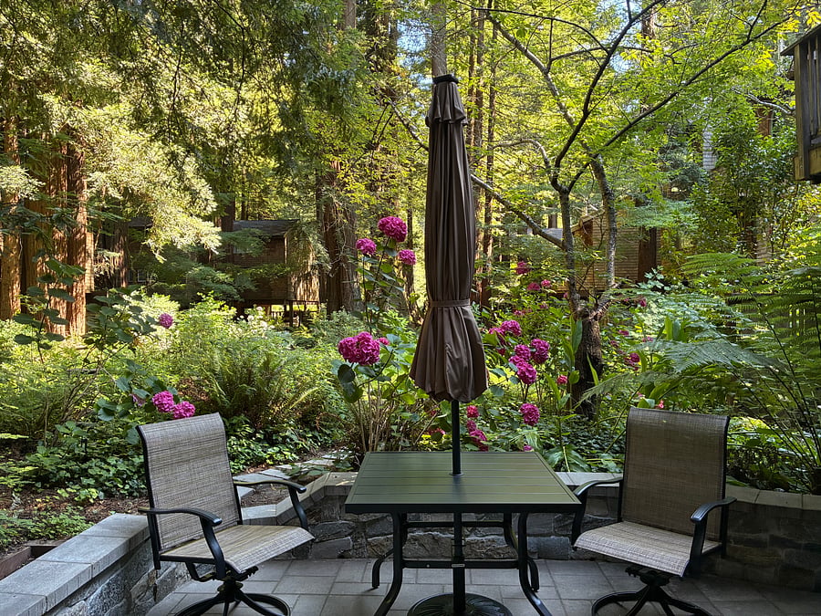 Outdoor patio facing "the meadow"