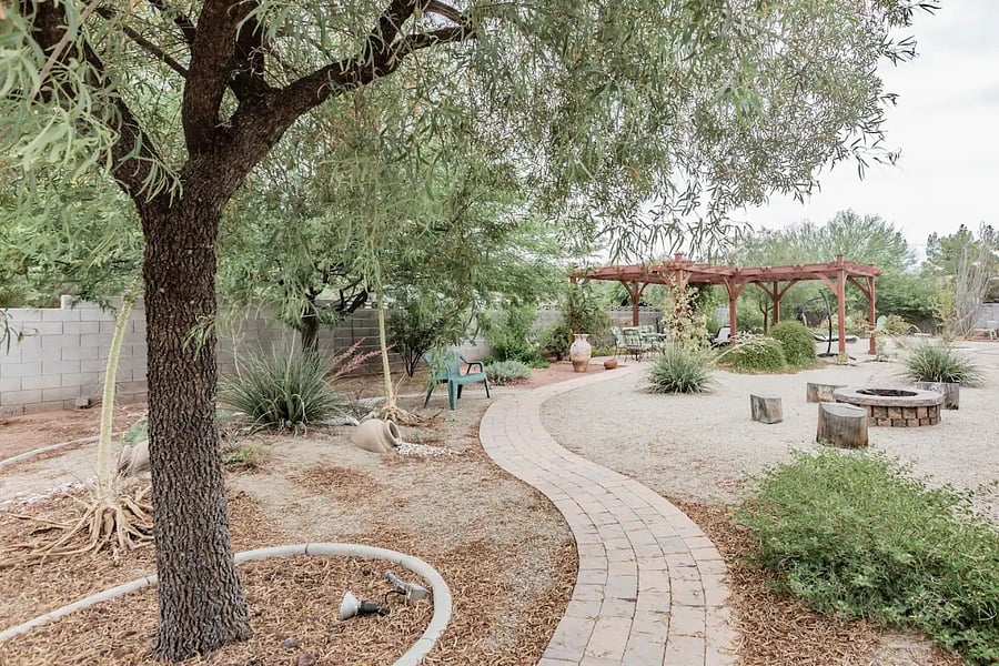 Desert Landscaped Backyard