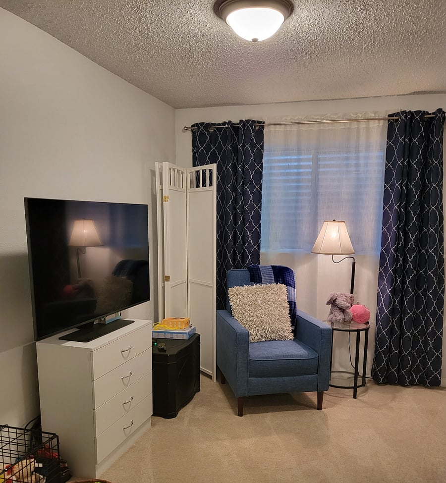 Basement Bedroom/Living area