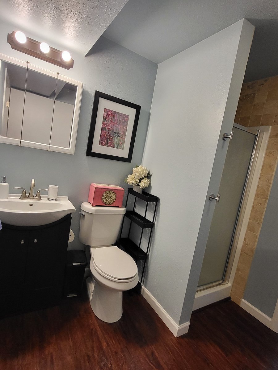 Basement Bathroom