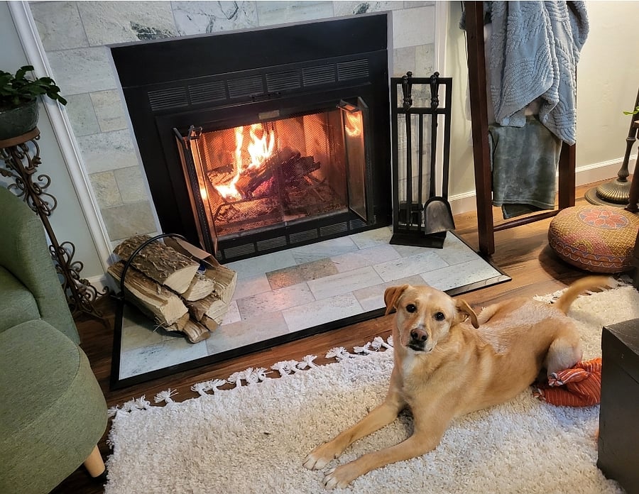 Shared livingroom with fireplace and friendly doggo.