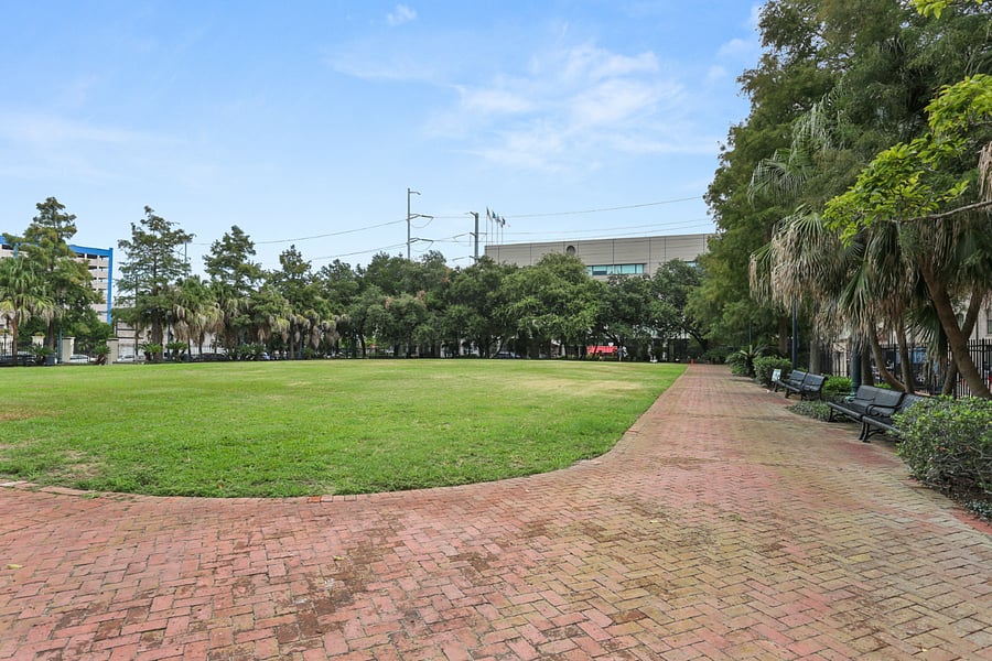 Dog Park