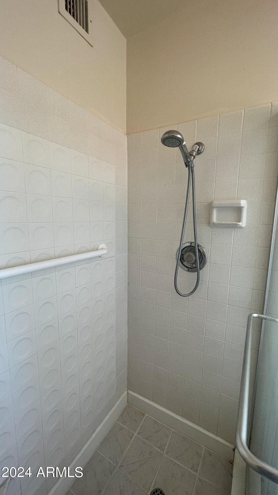 Master bath shower
