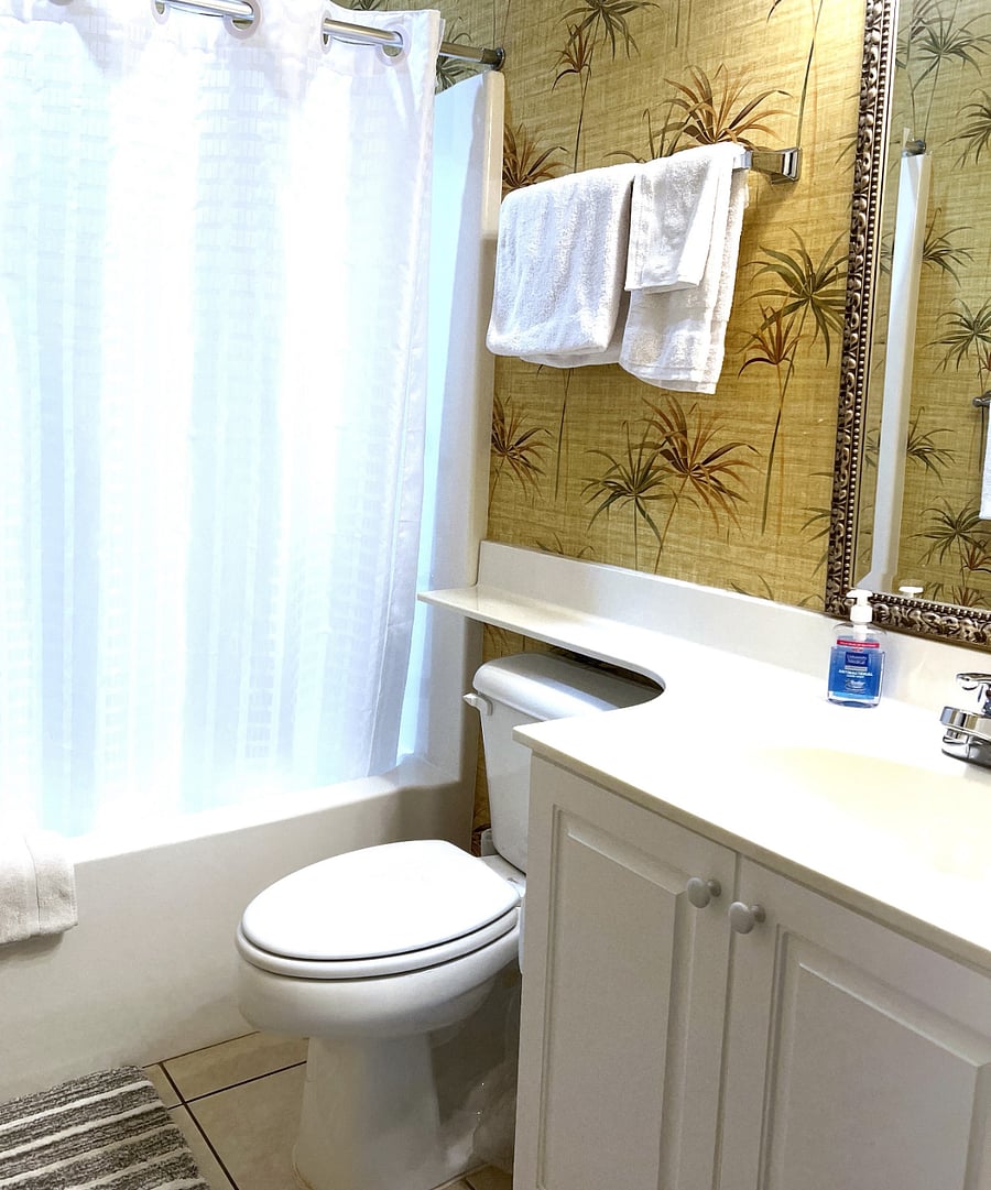 Guest bathroom