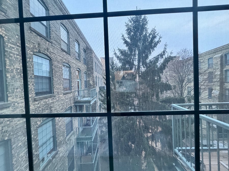 View from front room window to courtyard, nature park. Looking South