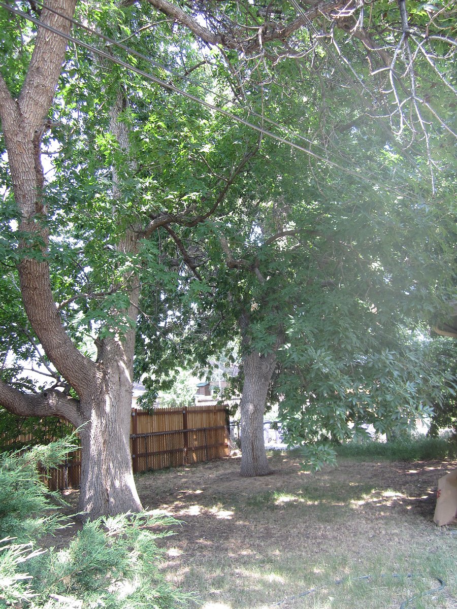 Furnished Finder property 751196_1 photo 10