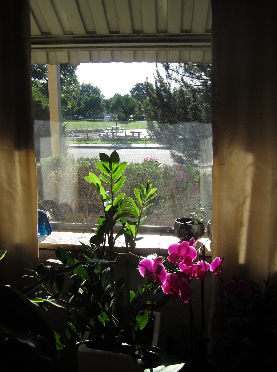 Furnished Finder property 751196_1 photo 16
