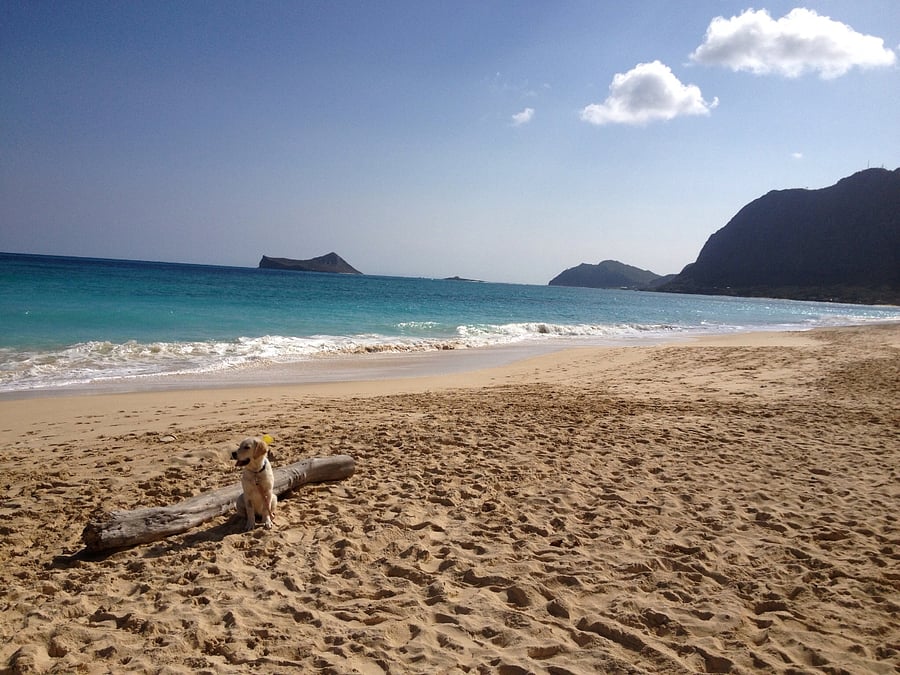 Waimanalo Beach