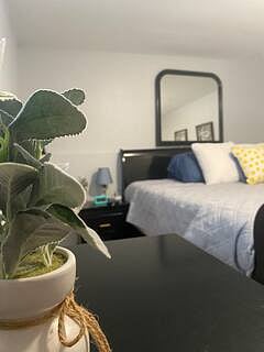 Furnished Finder property 751336_1 photo 23