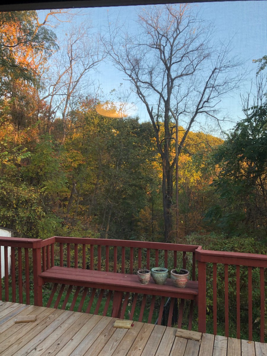 Furnished Finder property 751407_1 photo 3