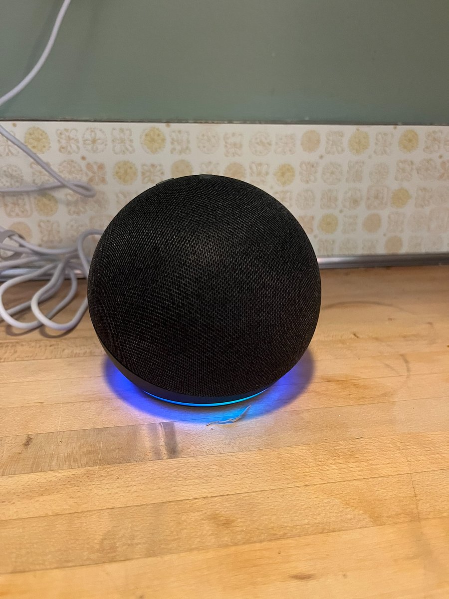 Echo in Kitchen