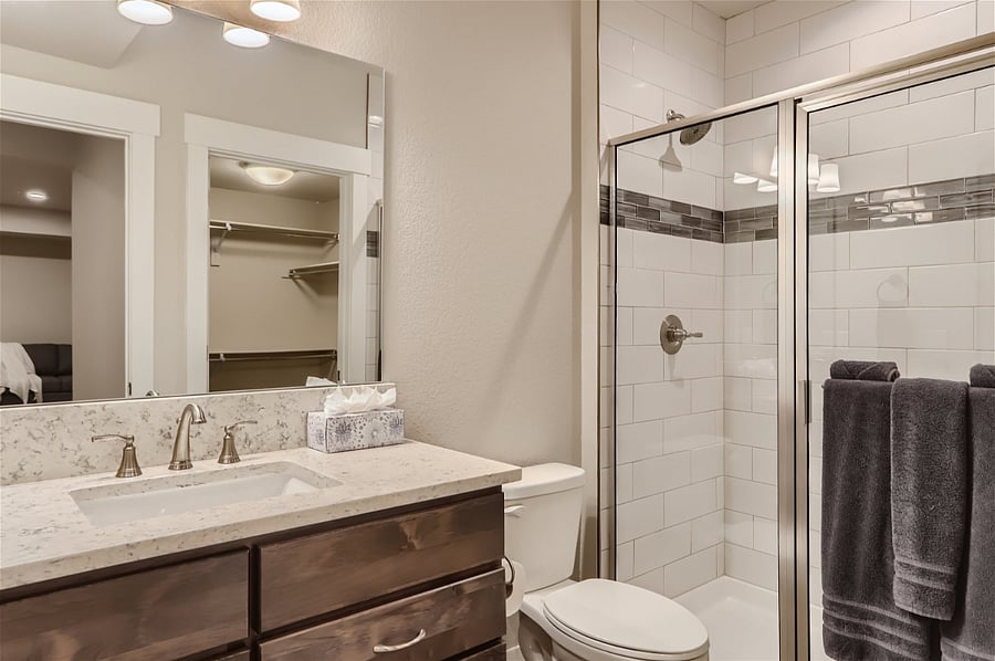 Basement Bath~ensuite with walk in closet and queen BR