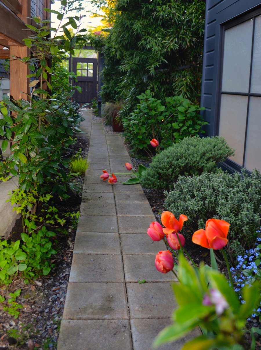 Side of home garden path