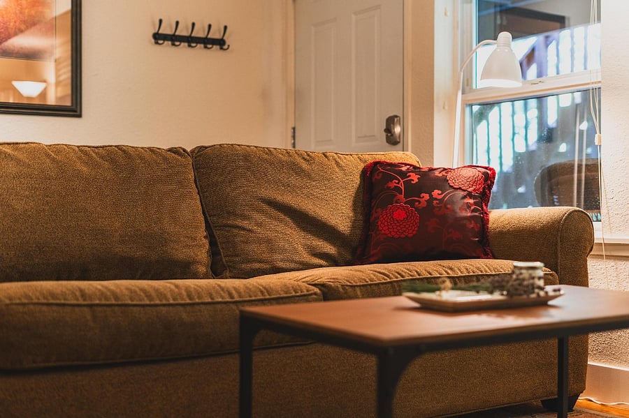 This is a Queen size Pull Out Couch!