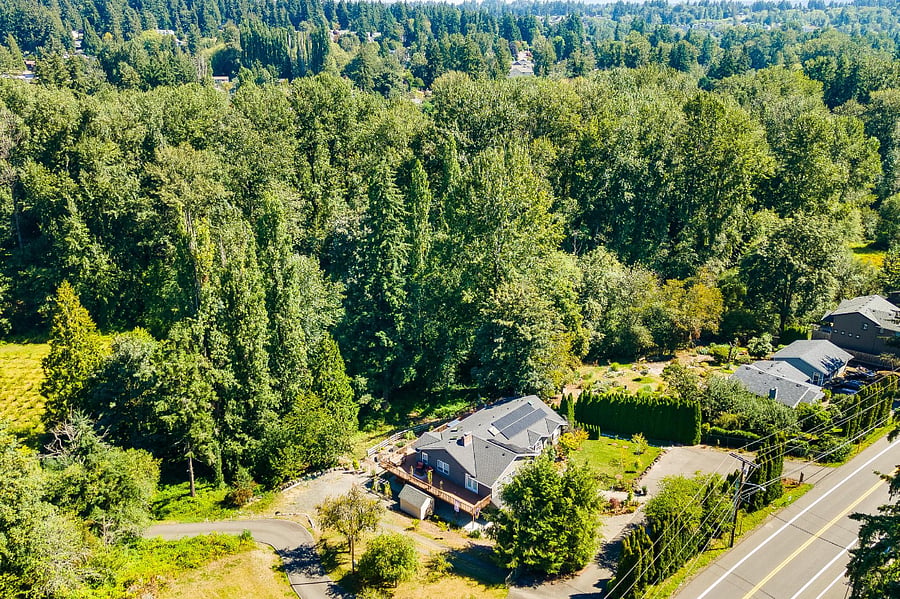 Lots of woods behind the house, with a beautiful creek. Your path is on the far side in this picture, near the tall Arborvitae.