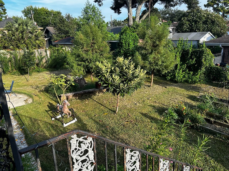 Rear of side-yard from renter entrance