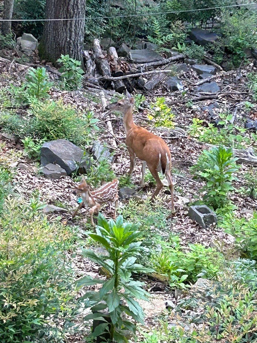 outside neighbors