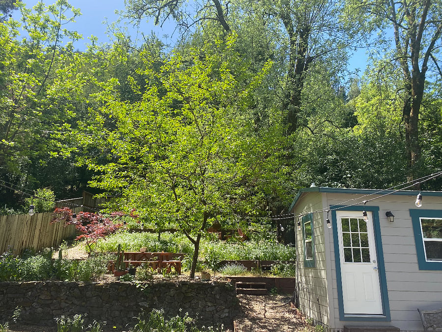 The backyard is perfect for lounging, reading, enjoying meals and listening to birdsong.