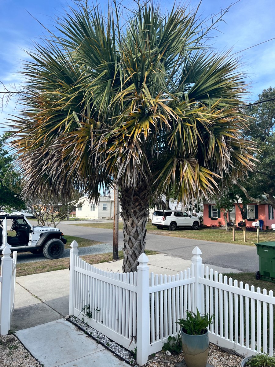 Furnished Finder property 752467_1 photo 15