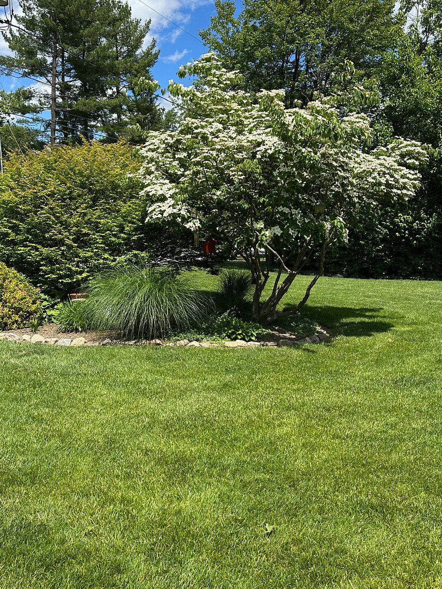 Furnished Finder property 752932_1 photo 6