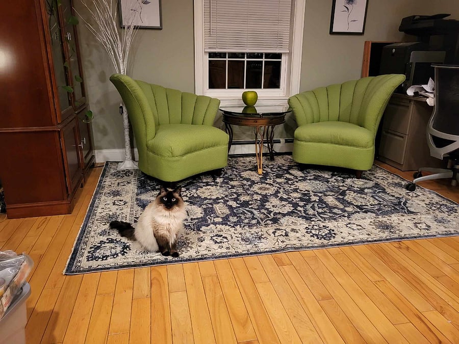 Furnished Finder property 753175_1 photo 7